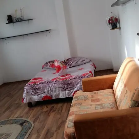 ホームステイ Casa Voinea *